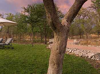 Mushara Outpost: Liegestühle und Sonnenschirme