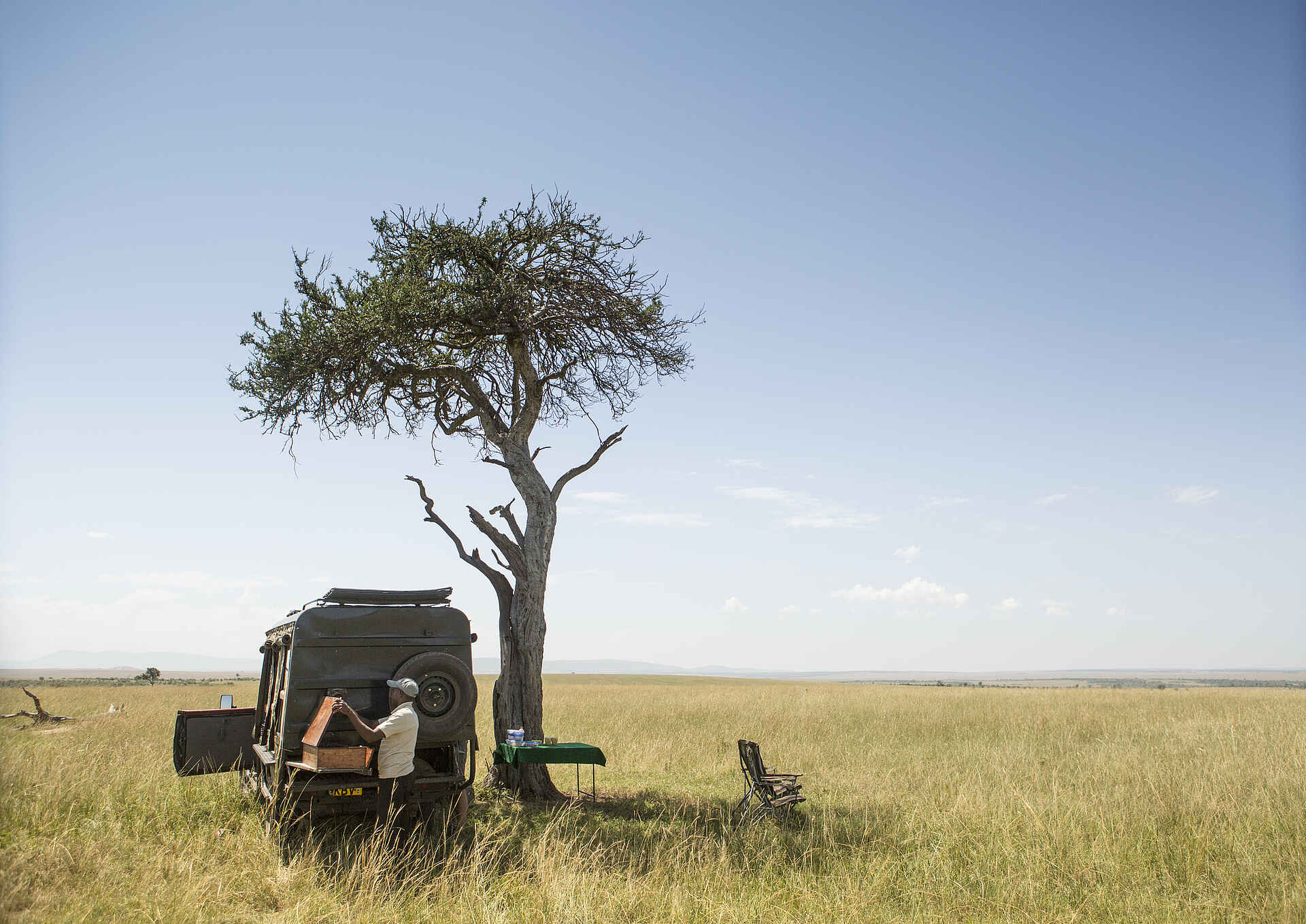 blue sky, breakfast, car, picnic, sky, tree, vehicle, Aktivitäten, Buschfrühstück, Game Drive, Mara National Reserve, Masai Mara, Afrikarma, Afrikarma Safaris, Afrikarma Safaris - Wildnis. Hautnah., Afrikarma.de, Sala's Camp, The Safari Collection