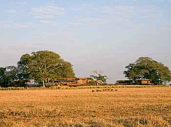 Shumba Camp: Camp mit Pukus Shumba Camp: Camp mit Pukus