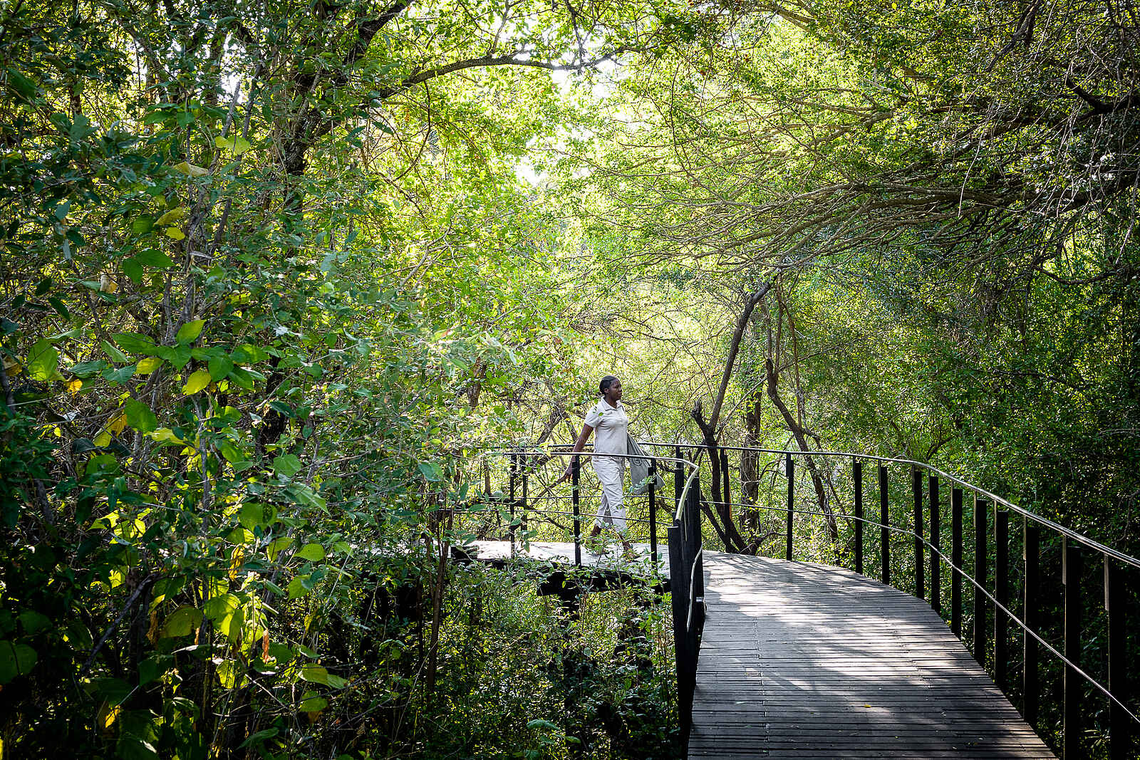 Singita Sweni Lodge: Verbindungsbrücke Singita Sweni Lodge: Verbindungsbrücke