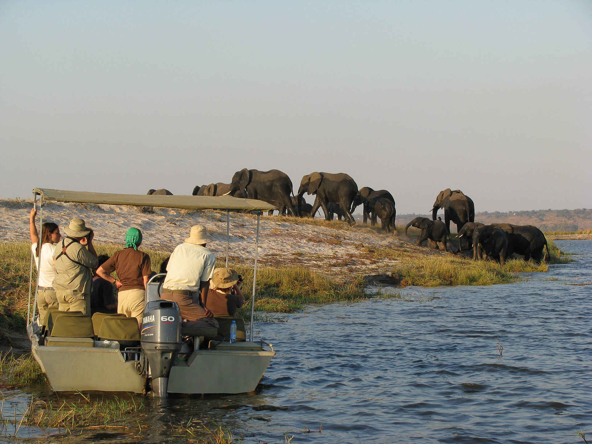 Chobe National Park, Chobe River, Elefanten, Flusskreuzfahrt, Impalila Island, Kasane, Wildbeobachtung, Zambezi Queen