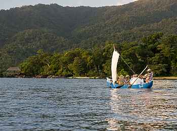 Masoala Forest Lodge: Segler Masoala Forest Lodge: Segler