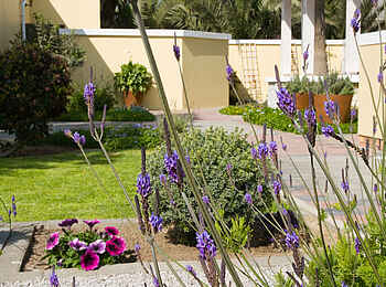 Cornerstone Guesthouse: Blick in den Garten