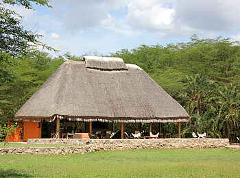 Enjojo Lodge: Hauptgebäude vor dem Galeriewald