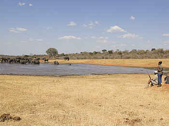 Khulu Bush Camp: Am Wasserloch Khulu Bush Camp: Am Wasserloch