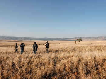 Lewa Safari Camp: Walking Safari mit Giraffe
