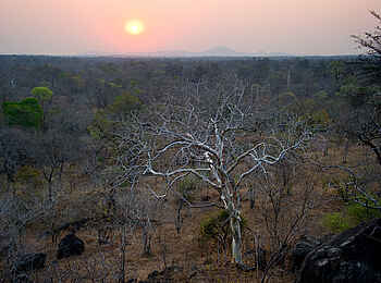 Mkulumadzi Lodge: Blick über den Busch in Majete