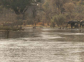 Selinda Explorers Camp: Angeln Selinda Explorers Camp: Angeln