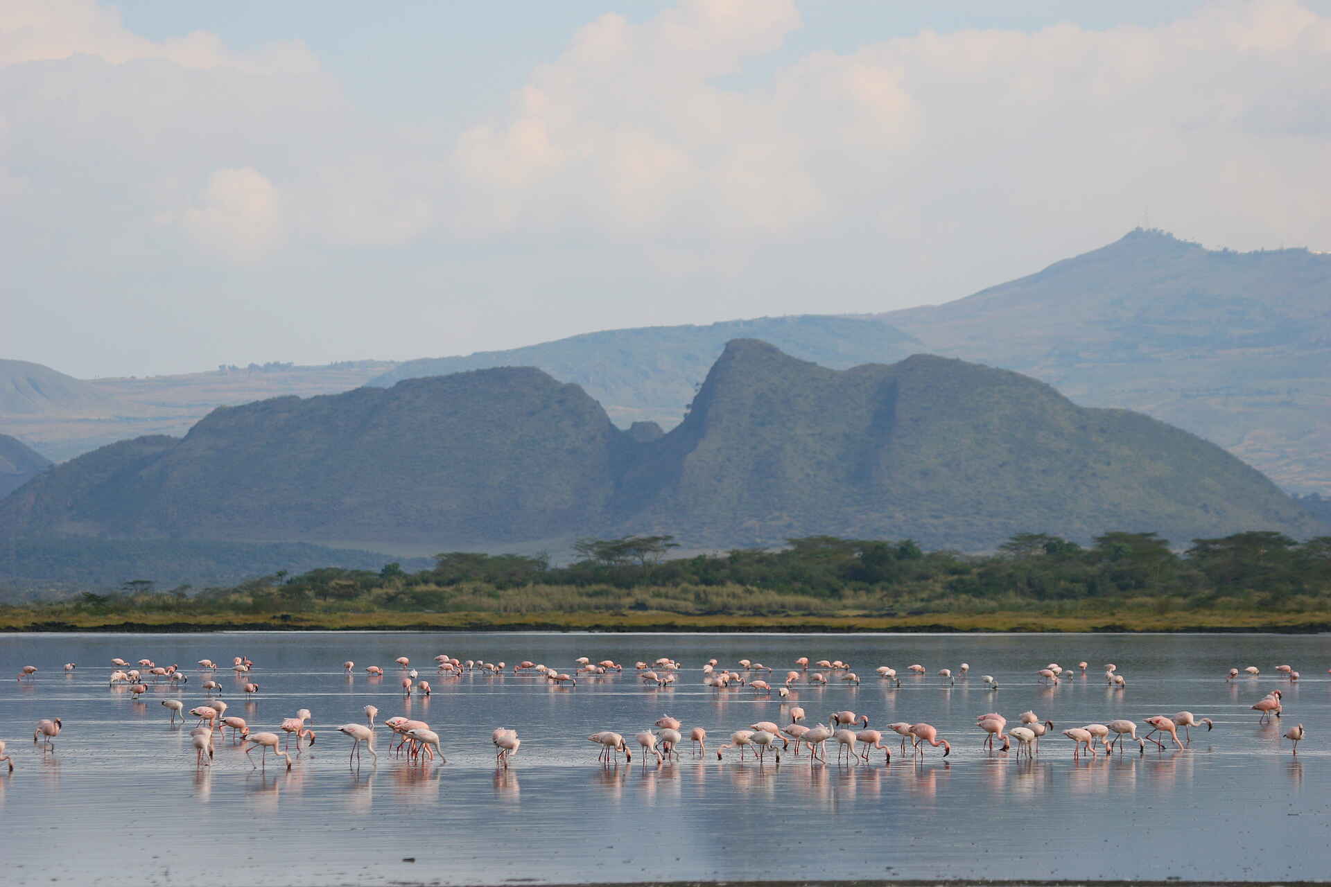 Sleeping Warrior Lodge: Lake Nakuru Panorama Sleeping Warrior Lodge: Lake Nakuru Panorama