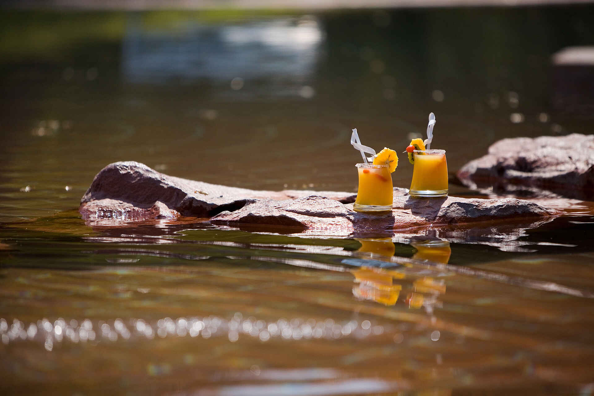 Waterberg Restcamp: Getränke am Wasser Namibia, Namibia Wildlife Resorts, Otjiwarongo, Waterberg Camp, Waterberg Plateau, Aussenanlage, Getränke, Natur, Stimmung, Wasser, Afrikarma, Afrikarma Safaris, Afrikarma Safaris - Wildnis. Hautnah., afrikarma.de