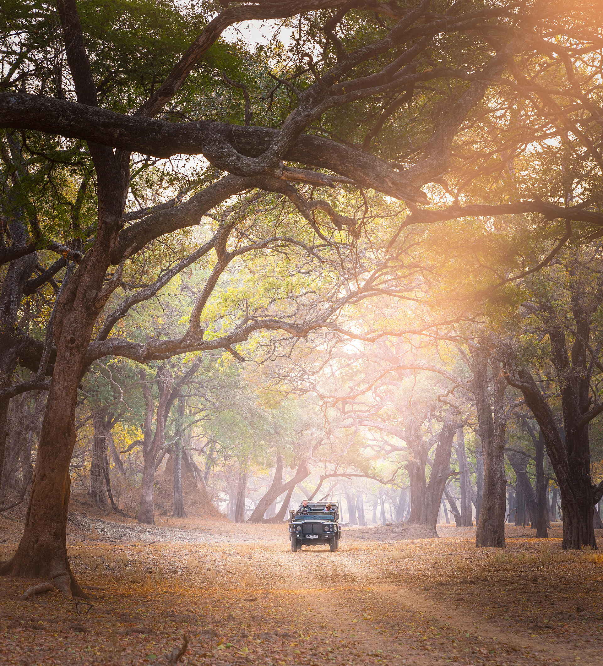 afrikarma, Bush Camp, Luangwa, Luxus, Mchenja, Nachhhaltigkeit, Safari, Sambia, South Luangwa National Park, Time + Tide, Time + Tide Mchenja, Walking Safari, Weite, Wildnis, Wildtiere, Afrikarma Safaris, Afrikarma Safaris. Wildnis. Hautnah., afrikarma.de, Time + Tide Africa, Tiere und Aktivitäten