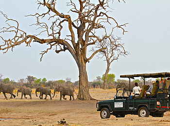 Camelthorn Lodge: Elefanten beim Game Drive Camelthorn Lodge: Elefanten beim Game Drive