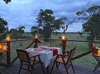 Elephant Pepper Camp: Dinnertime Elephant Pepper Camp: Dinnertime