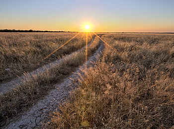 Etosha Mountain Lodge: Wunderschöne Landschaften