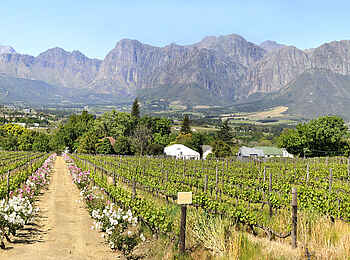 Grande Roche Hotel: Blick vom Herrenhaus