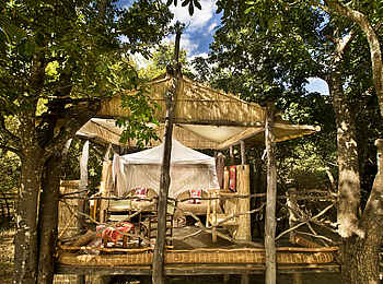Island Bush Camp: Private Veranda und Gästebetten Island Bush Camp: Private Veranda und Gästebetten