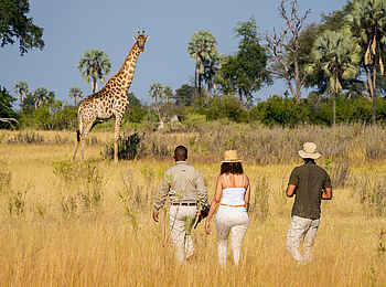 Kanana-Nyana-Camp: Walking Safari