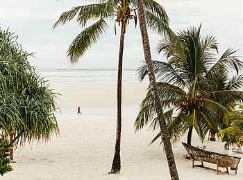 LUX Marijani: Palmen am Strand