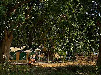 Mara River Camp: Umgebung Mara River Camp: Umgebung