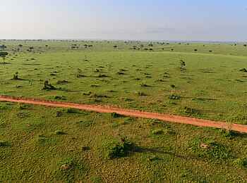 Murchison Falls Ballonfahrt: Piste im Park