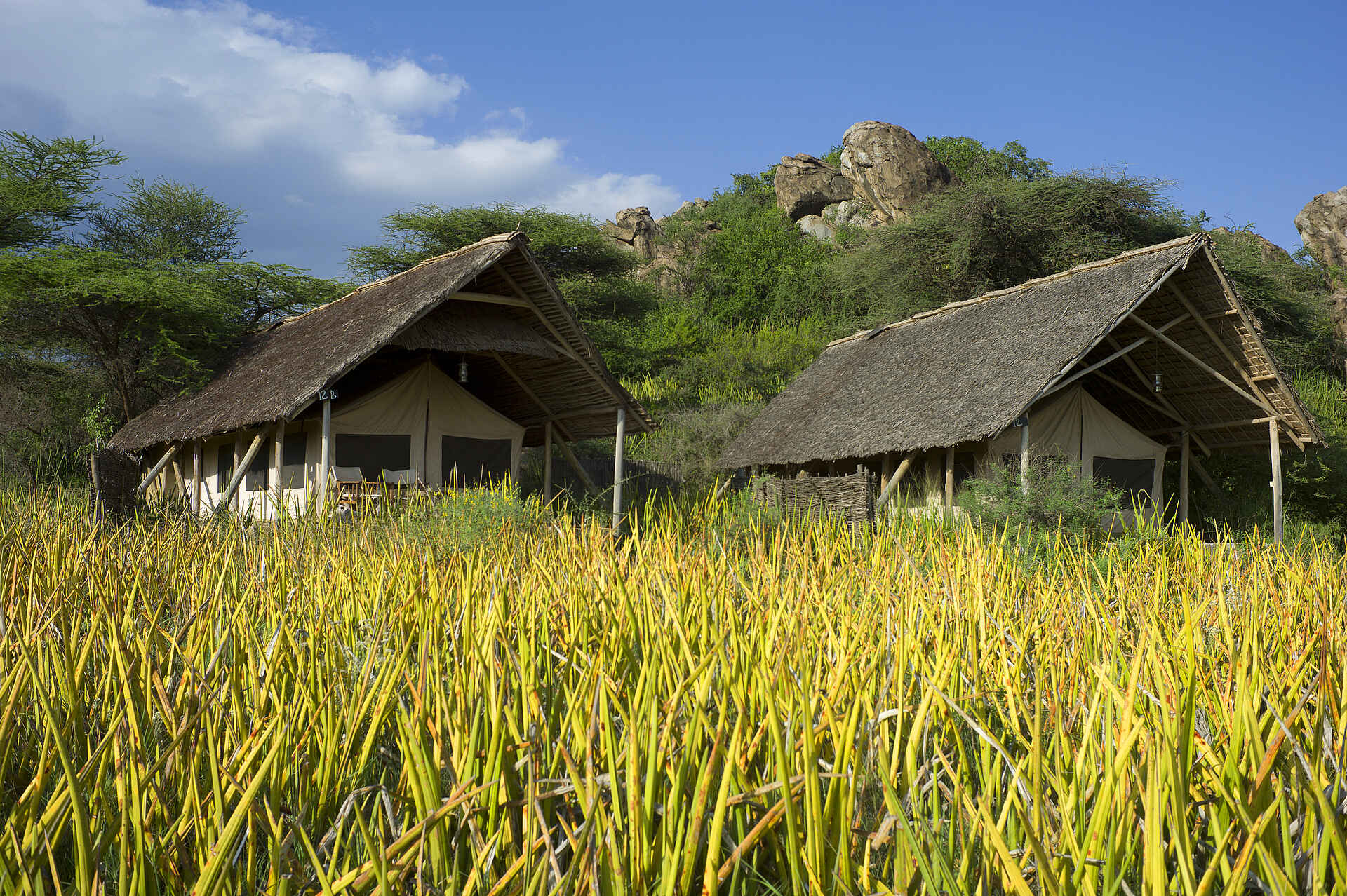 Ngorongoro Conservation Area, Olduvai Camp, Olduvai Gorge, Tanganyika Expeditions, Gästechalet, Landschaft, Afrikarma, Afrikarma Safaris, Afrikarma Safaris - Wildnis. Hautnah., Afrikarma.de