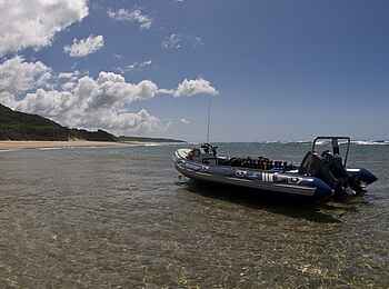 Rocktail Beach Camp: Tauchboot