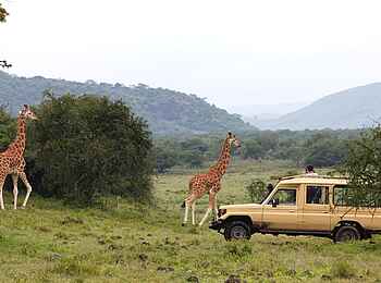 Sleeping Warrior Lodge: Unterwegs im Nakuru Nationalpark Sleeping Warrior Lodge: Unterwegs im Nakuru Nationalpark