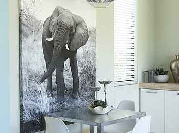 The Olive Exclusive: Etosha - Kleiner Esstisch