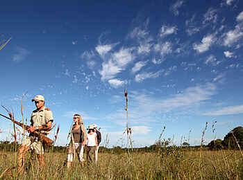 MalaMala Rattrays Camp: Buschwanderung MalaMala Rattrays Camp: Buschwanderung