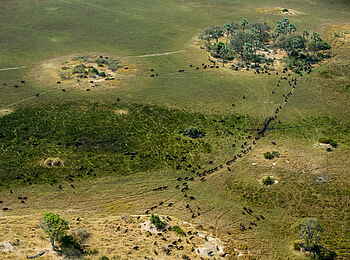 Selinda Camp: Landschaft von Oben