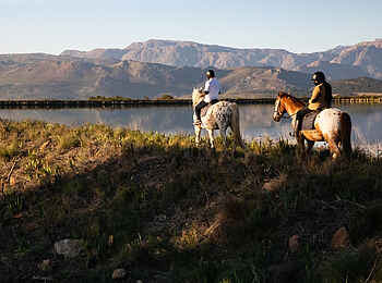 Boschendal Wine Estate: Reiten