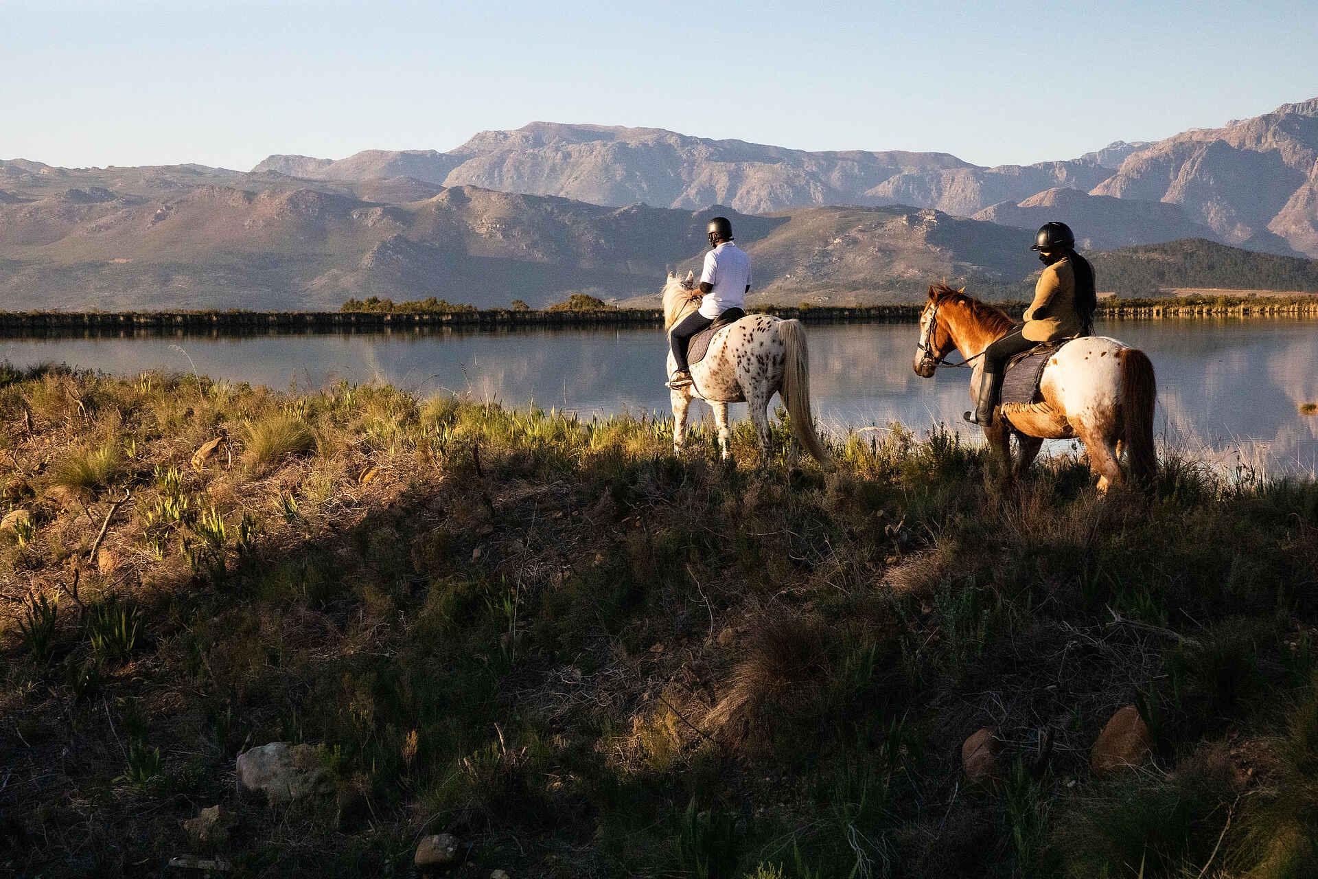 Boschendal Wine Estate: Reiten