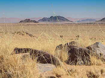 Desert Homestead Outpost: Am Rande der ältesten Wüste der Welt
