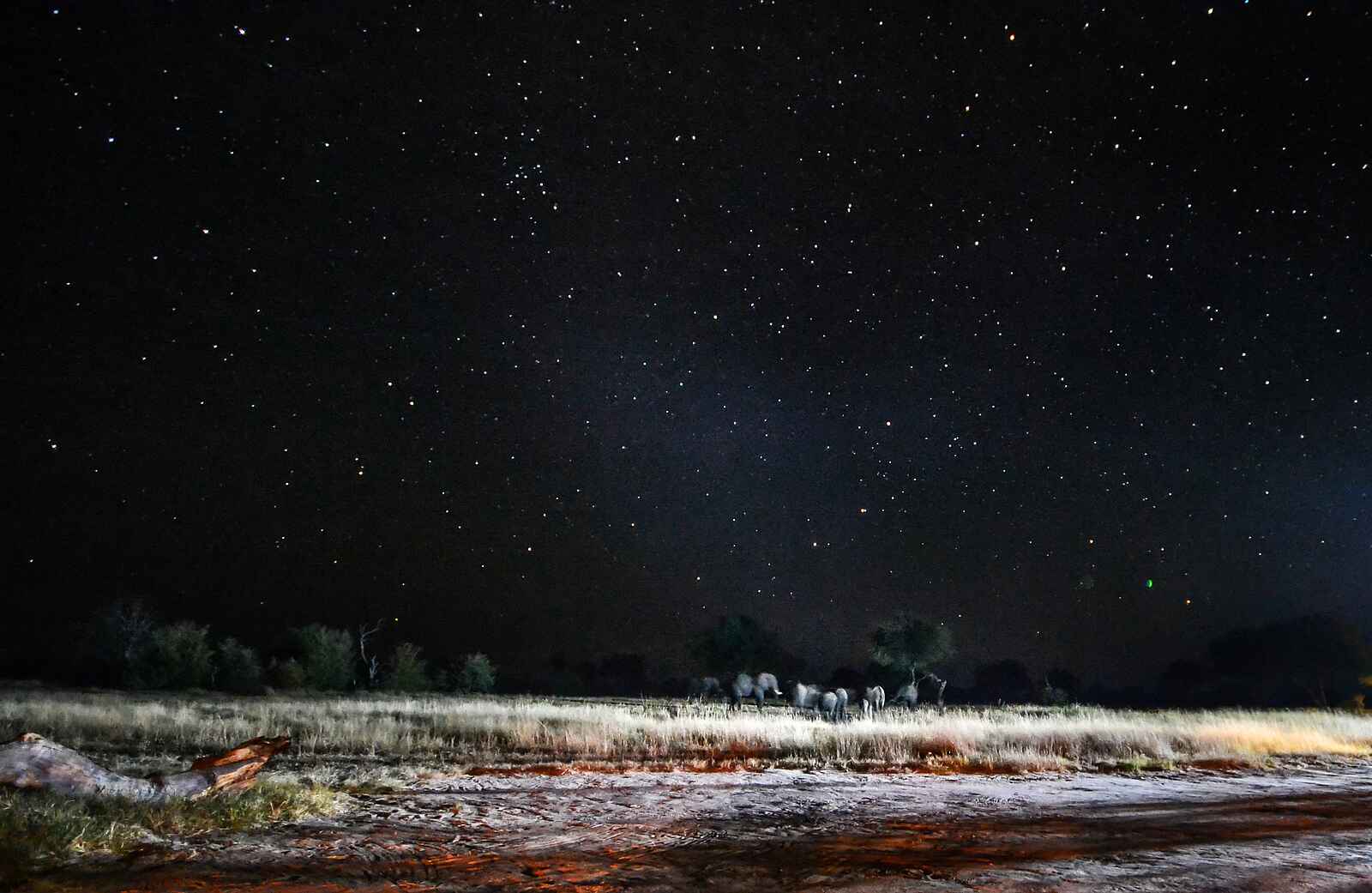 Jozibanini Camp: Nachthimmel mit Sternen Jozibanini Camp: Nachthimmel mit Sternen