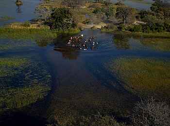 Kujwana Camp: Überflutung