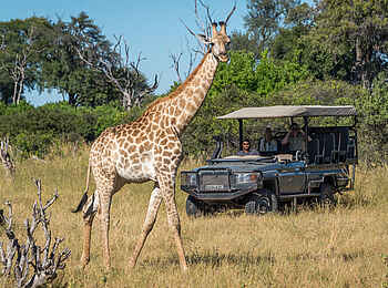Little Duma Tau Camp: Game Drive