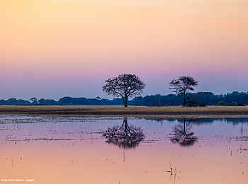Luiana Plains Expedition Camp: Überschwemmungsfläche in der Abenddämmerung