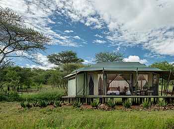 Ole Serai Luxury Camp - Moru Kopjes: Gästezelt im Grünen Ole Serai Luxury Camp - Moru Kopjes: Gästezelt im Grünen
