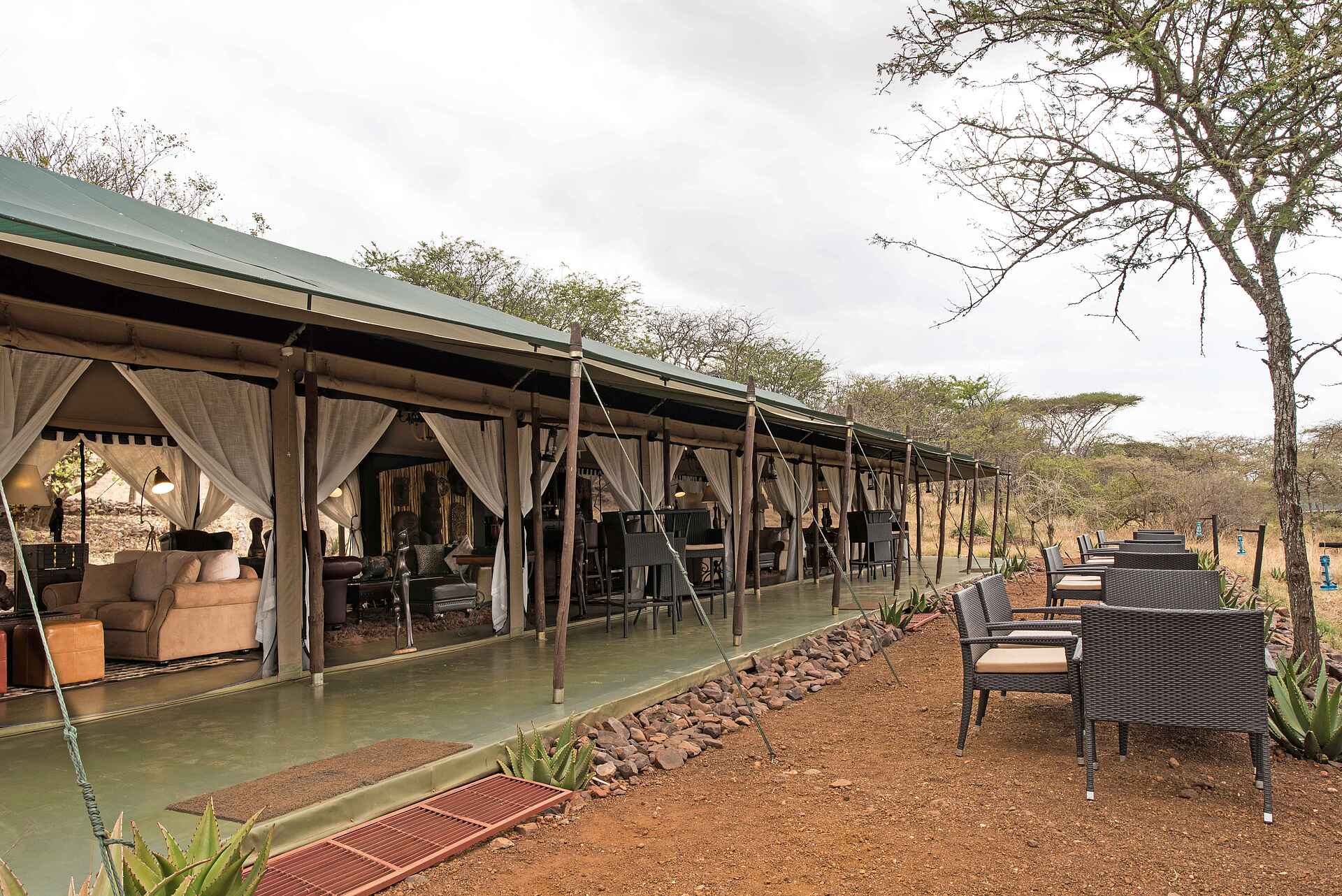 Ole Serai Luxury Camp - Moru Kopjes: Zentralbereich