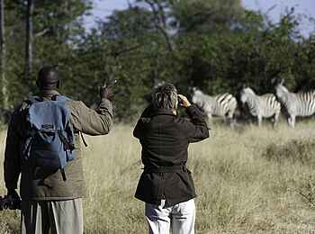 Savuti Camp: Geführte Buschwanderung