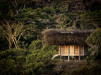 Segera Retreat: Das Nay Palad Bird Nest