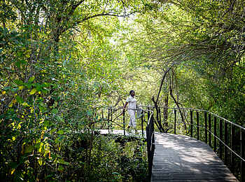 Singita Sweni Lodge: Verbindungsbrücke