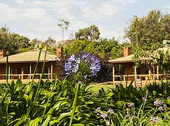 Tloma Lodge: Der Blick aus den Gärten auf zwei Chalets