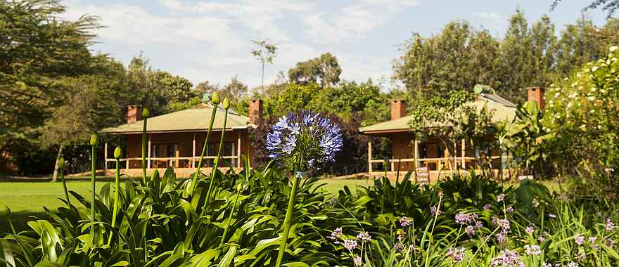 Tloma Lodge: Der Blick aus den Gärten auf zwei Chalets Tloma Lodge: Der Blick aus den Gärten auf zwei Chalets