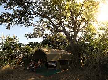 Chilo Mahove Tented Camp: Gäste vor ihrem Zelt Chilo Mahove Tented Camp: Gäste vor ihrem Zelt