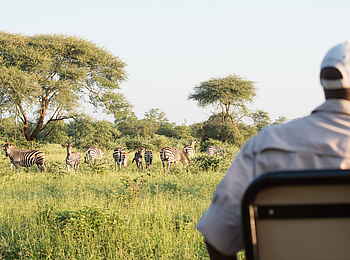 Singita Pamushana Lodge: Tracker