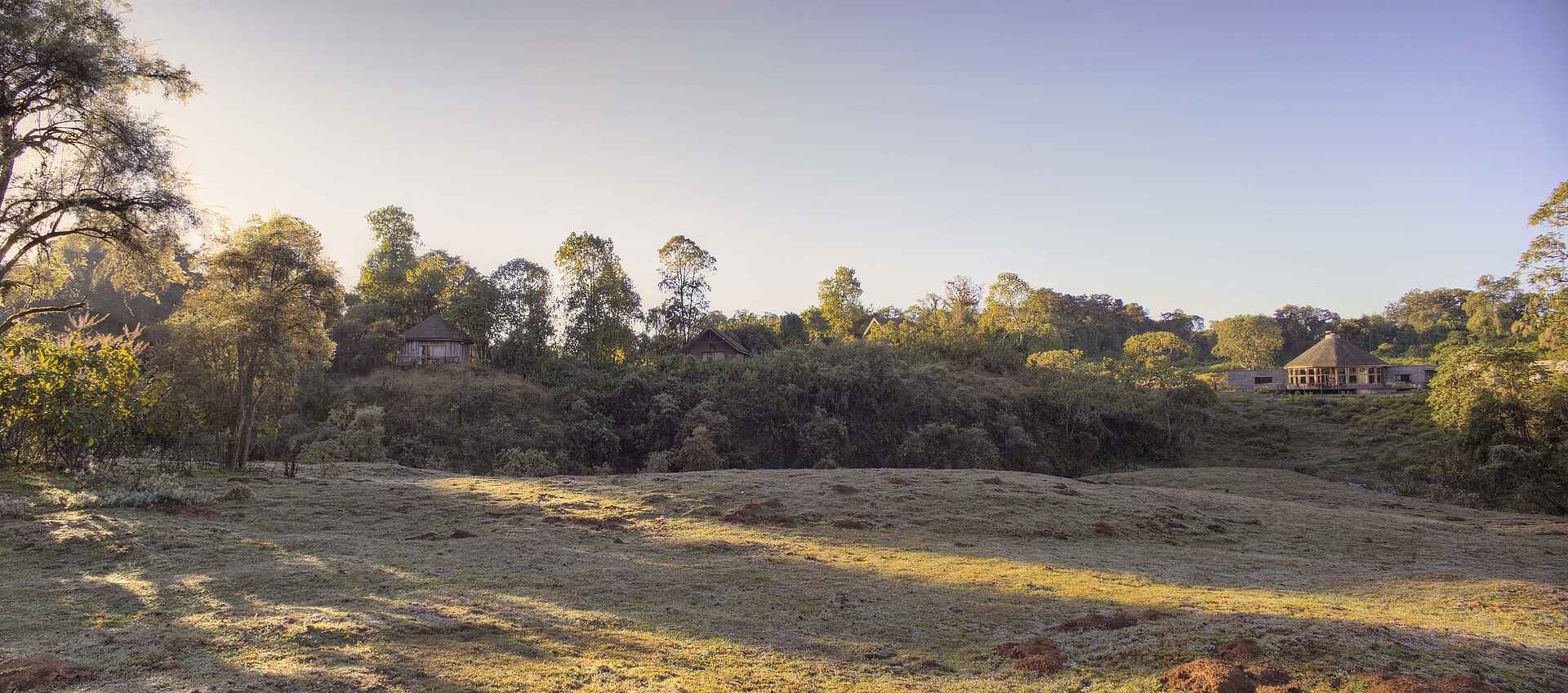 Bale Mountain Lodge: Blick über das Gelände