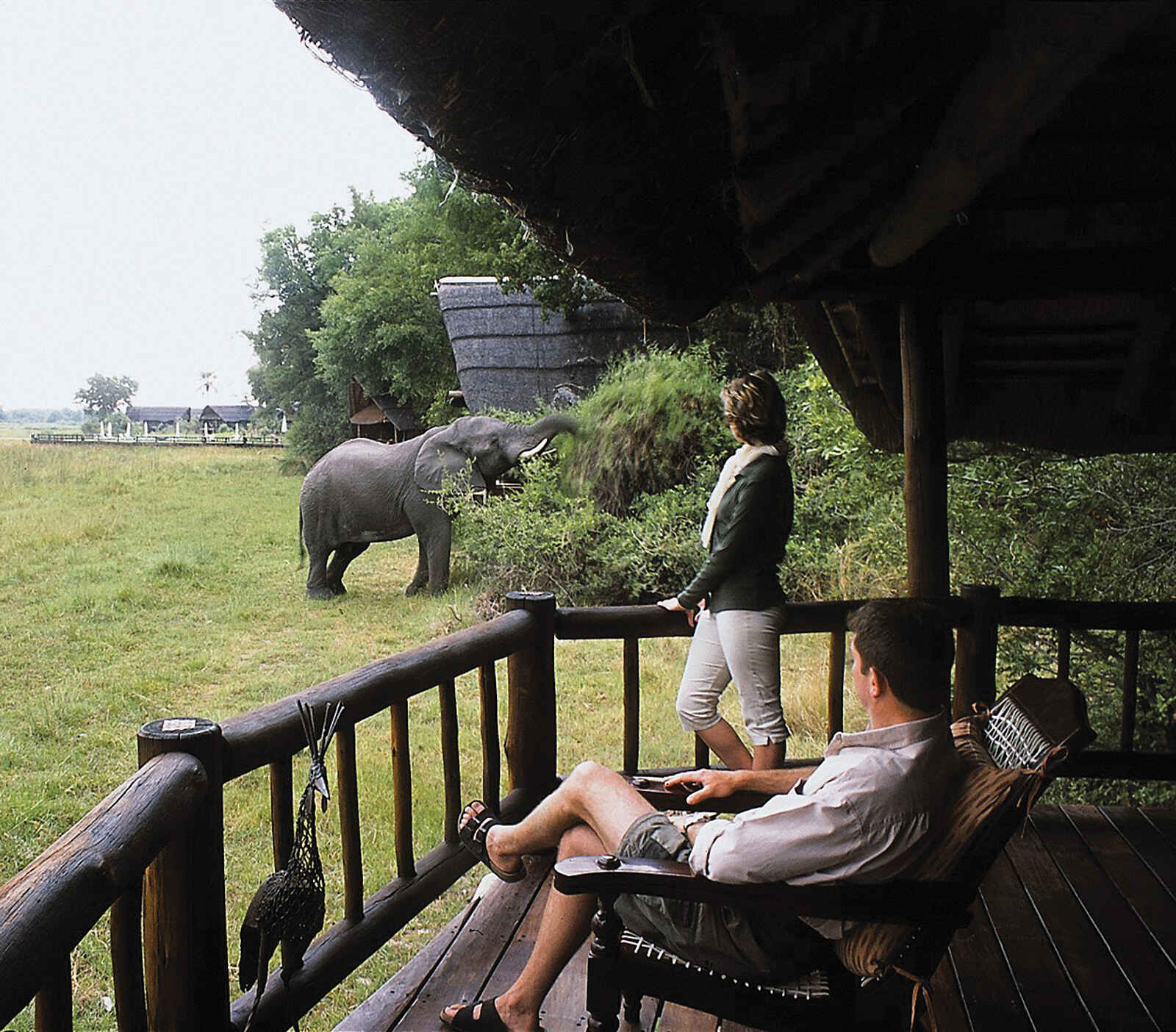 Belmond Savute Elephant Lodge: Elefantenbesuch Belmond Savute Elephant Lodge: Elefantenbesuch