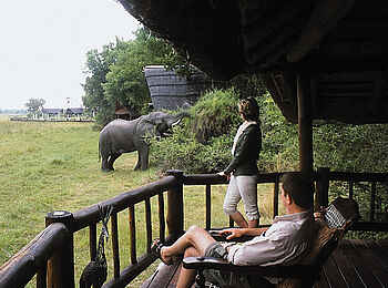 Belmond Savute Elephant Lodge: Elefantenbesuch