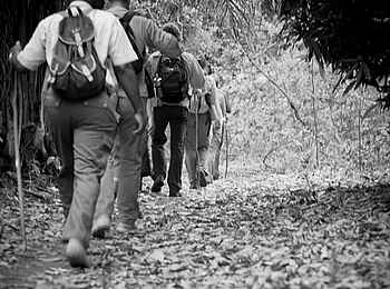 Greystoke Mahale: Buschwanderung